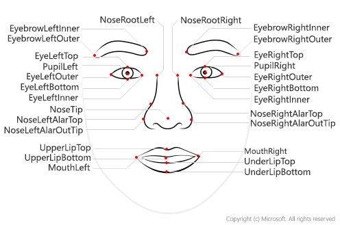 Face landmarks according to Microsoft